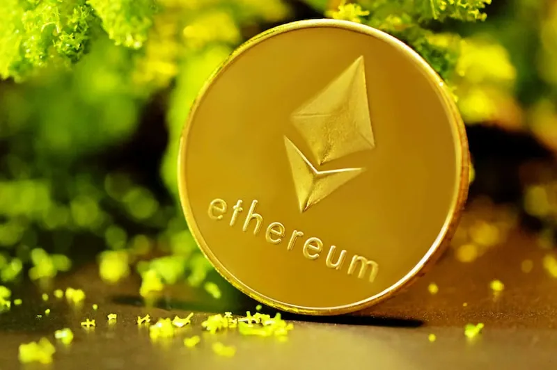 An Ethereum coin under a branch