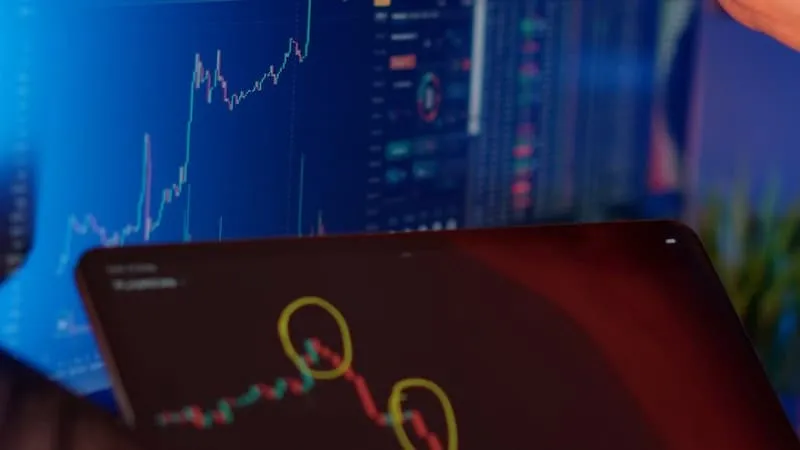 Someone analyzing financial data