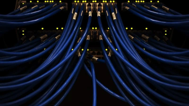 Blue network cables connected together