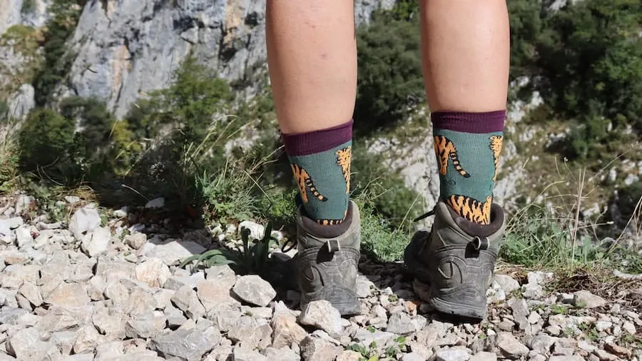 A person on a rocky trail wearing hiking boots